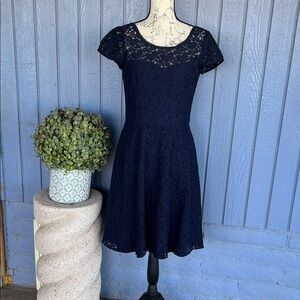 White House Black MarketElegant Navy Lace Dress Size 6